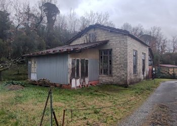 1705574730650.jpg - Terreno edificabile Sarzana - foto 1