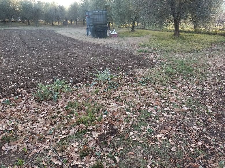 Terreno edificabile Poggio Torriana - foto 1