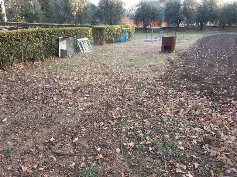 Terreno edificabile Poggio Torriana - foto 3