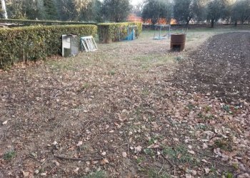 Terreno edificabile Poggio Torriana - foto 3