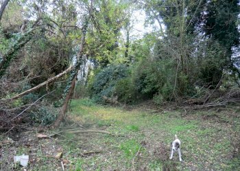 Rustico Ferrara - foto 4