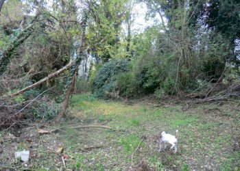 Rustico Ferrara - foto 5