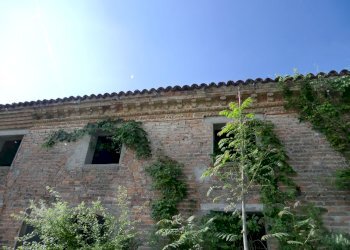 Rustico Ferrara - foto 16