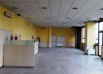 Laboratorio Modena - foto 12