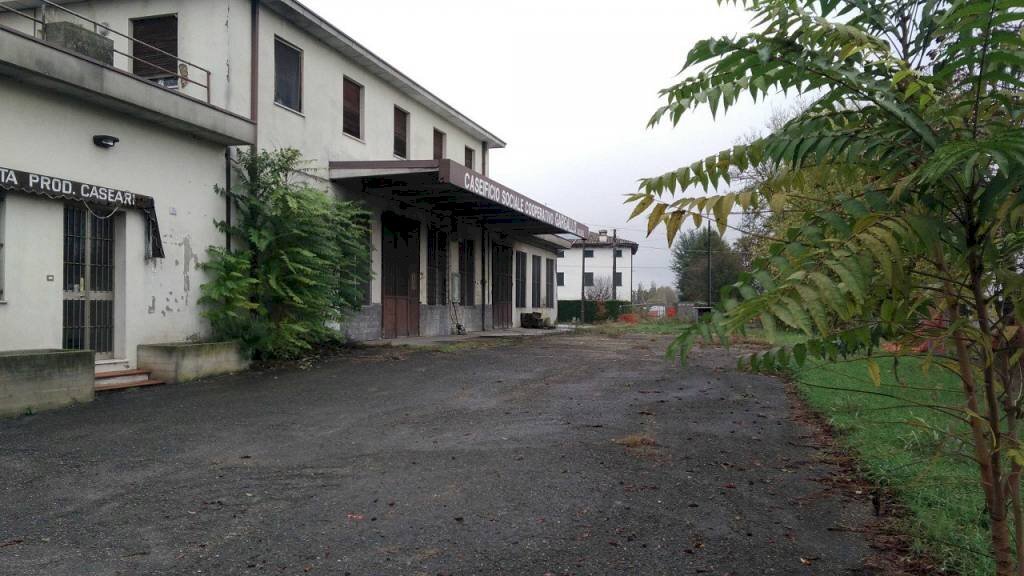 p 20181105 092037 - Food - Gastronomy piazzale RAMAZZINI 37/b, Campogalliano - photo 1