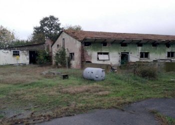 p 20181105 091657 - Food - Gastronomy piazzale RAMAZZINI 37/b, Campogalliano - photo 4