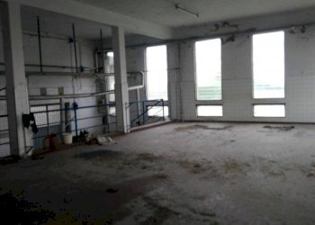 p 20181105 092353 - Food - Gastronomy piazzale RAMAZZINI 37/b, Campogalliano - photo 7