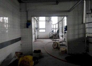 p 20181105 092433 - Food - Gastronomy piazzale RAMAZZINI 37/b, Campogalliano - photo 9