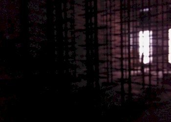 p 20181105 092450 - Food - Gastronomy piazzale RAMAZZINI 37/b, Campogalliano - photo 10