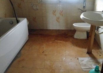 p 20181105 092946 - Food - Gastronomy piazzale RAMAZZINI 37/b, Campogalliano - photo 19