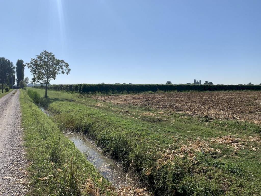 img 0224 - Terreno agricolo via porto, Rolo - foto 1