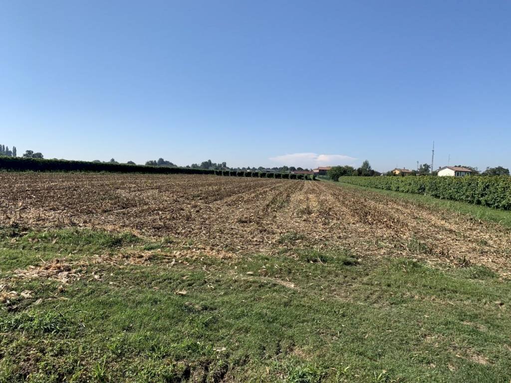 img 0225 - Terreno agricolo via porto, Rolo - foto 2