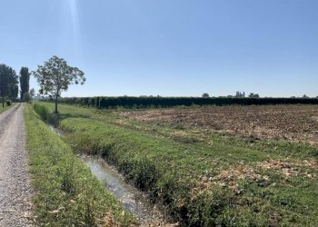 img 0224 - Terreno agricolo via porto, Rolo - foto 1