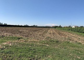 img 0225 - Terreno agricolo via porto, Rolo - foto 2