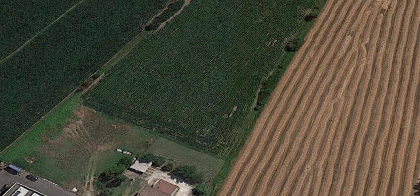 prandini - Terreno edificabile via SABBIONI, Medolla - foto 1