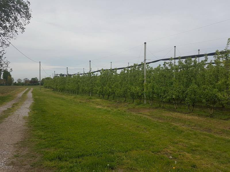 20190424 102817 ridimensionare - Terreno agricolo via IMPERIALE, Soliera - foto 1