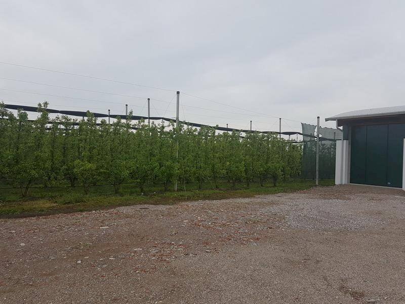 20190424 103054 ridimensionare - Terreno agricolo via IMPERIALE, Soliera - foto 2