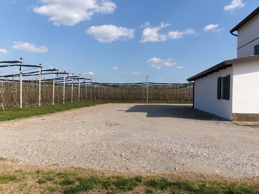 20190329 150737 - Terreno agricolo via IMPERIALE, Soliera - foto 3