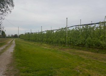 20190424 102817 ridimensionare - Terreno agricolo via IMPERIALE, Soliera - foto 1