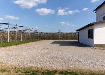 20190329 150737 - Terreno agricolo via IMPERIALE, Soliera - foto 3