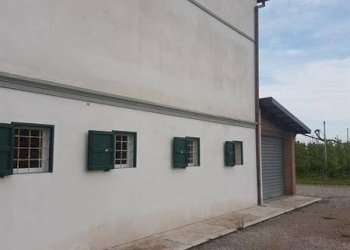 20190424 103023 ridimensionare - Terreno agricolo via IMPERIALE, Soliera - foto 4