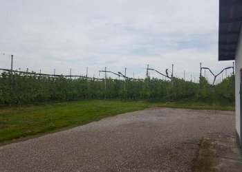 20190424 103841 ridimensionare - Terreno agricolo via IMPERIALE, Soliera - foto 20