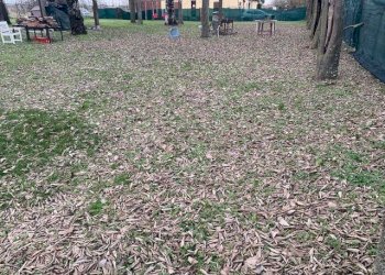 img 0860 - Villa via CANALVECCHIO SECCHIA 10, Carpi - foto 4