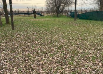 img 0867 - Villa via CANALVECCHIO SECCHIA 10, Carpi - foto 10