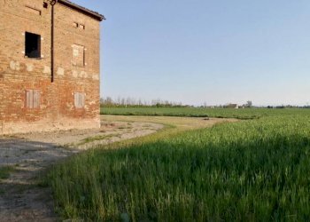 img 20210423 182702 - Rustico via GRIDUZZA, Carpi - foto 3