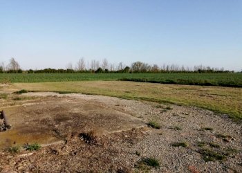 img 20210423 182714 - Rustico via GRIDUZZA, Carpi - foto 4