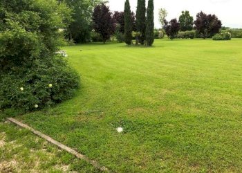 img 6957 - Villa ROMA MIGLIARINA 1, Carpi - foto 2