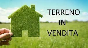 terreno 1 - Commercial Activity Carpi - photo 1