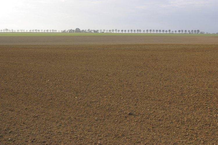 terreno - Commercial Activity Carpi - photo 2