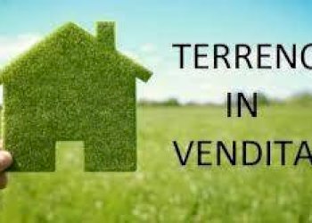 terreno 1 - Commercial Activity Carpi - photo 1