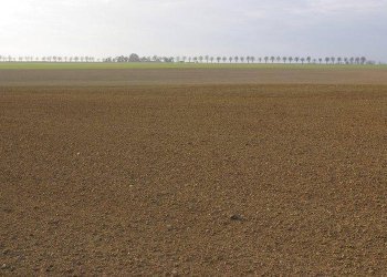 terreno - Commercial Activity Carpi - photo 2