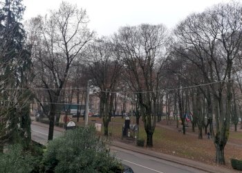 20221227 152457 - Casa indipendente via GUIDO FASSI, Carpi - foto 20