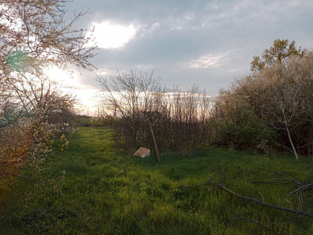 img 20230324 173834 - Rustico via GRILLI, Novi di Modena - foto 3