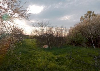 img 20230324 173834 - Rustico via GRILLI, Novi di Modena - foto 3