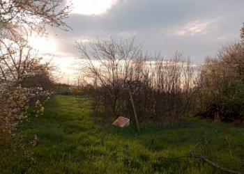 img 20230324 173837 - Rustico via GRILLI, Novi di Modena - foto 4