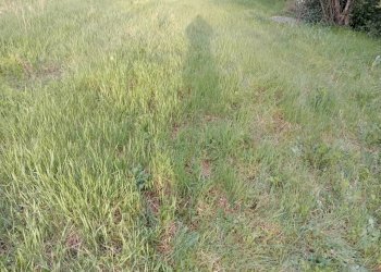 img 20230324 173853 - Rustico via GRILLI, Novi di Modena - foto 5