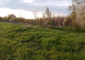 img 20230324 173908 - Rustico via GRILLI, Novi di Modena - foto 6