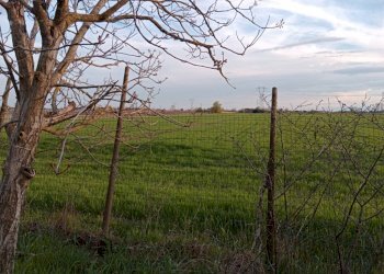 img 20230324 173920 - Rustico via GRILLI, Novi di Modena - foto 7