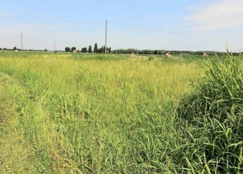 img 20230619 wa0080 - Rustic via NUOVA, Bomporto - photo 4