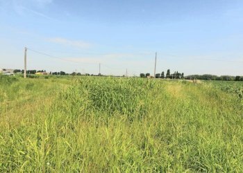 img 20230619 wa0077 - Rustic via NUOVA, Bomporto - photo 5