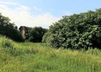 img 20230619 wa0081 - Rustic via NUOVA, Bomporto - photo 8