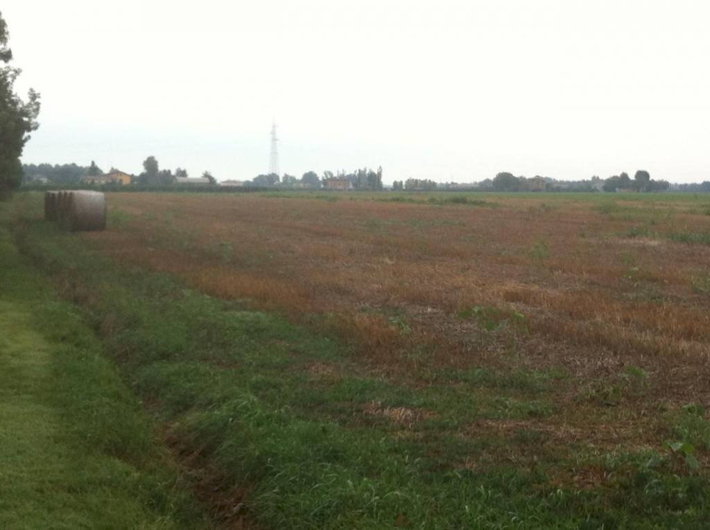 th img 0760 - Rustico via CADUTI 150, Soliera - foto 1