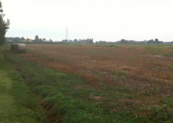 th img 0760 - Rustic via CADUTI 150, Soliera - photo 1