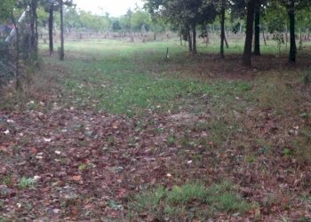 th img 0761 - Rustic via CADUTI 150, Soliera - photo 5