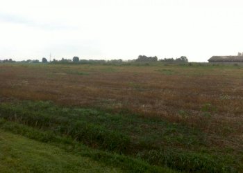 th img 0764 - Rustic via CADUTI 150, Soliera - photo 10