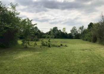 img 2444 - Rustico Carpi - foto 17